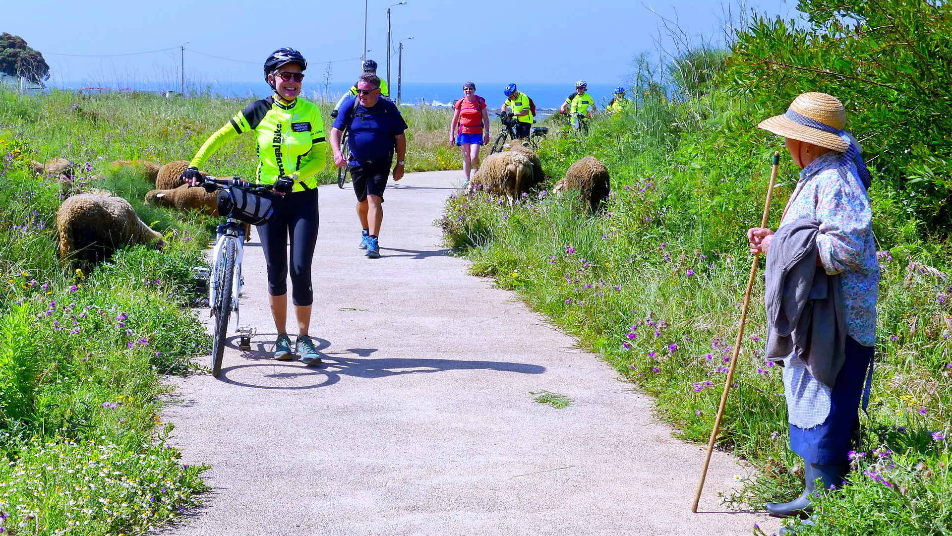 cycling and biking in Portugal bike tours