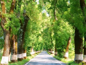 The Ancient Medieval Villages Self-Guided - Portugal Bike Tours, Biking in Portugal