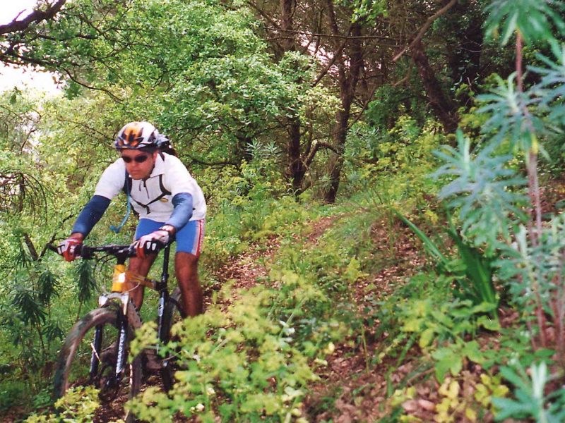 Single Tracks in the Mediterranean Forest Guided - Portugal Bike Tours