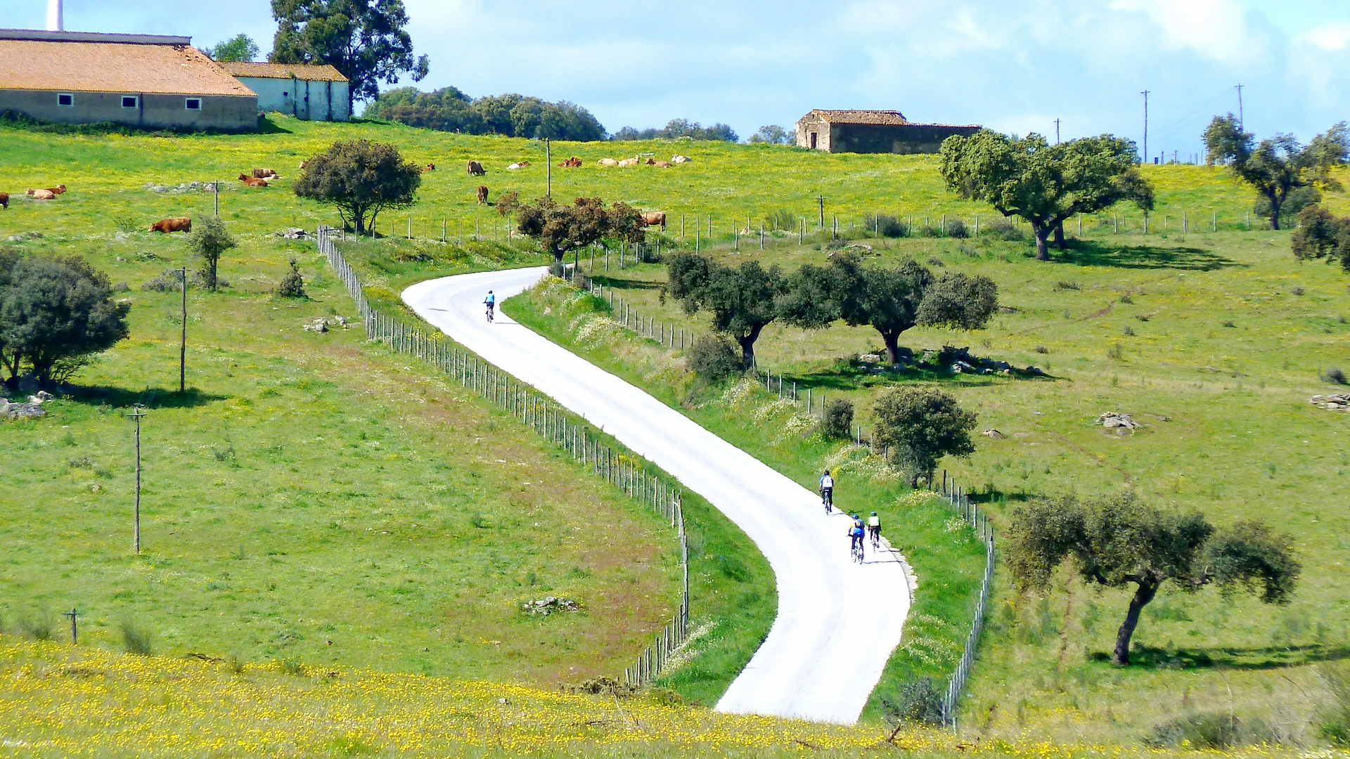 bike tours Portugal cycling tours