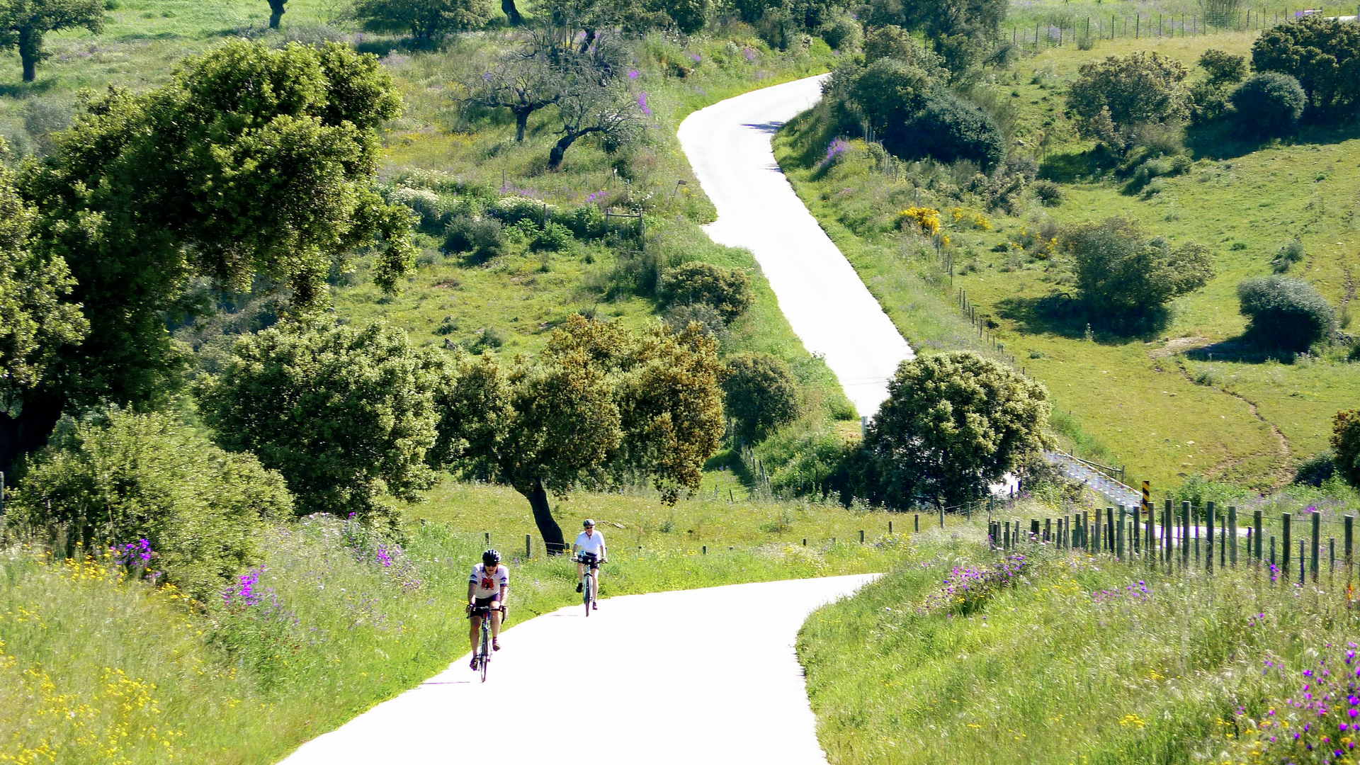 bicycle tours in portugal
