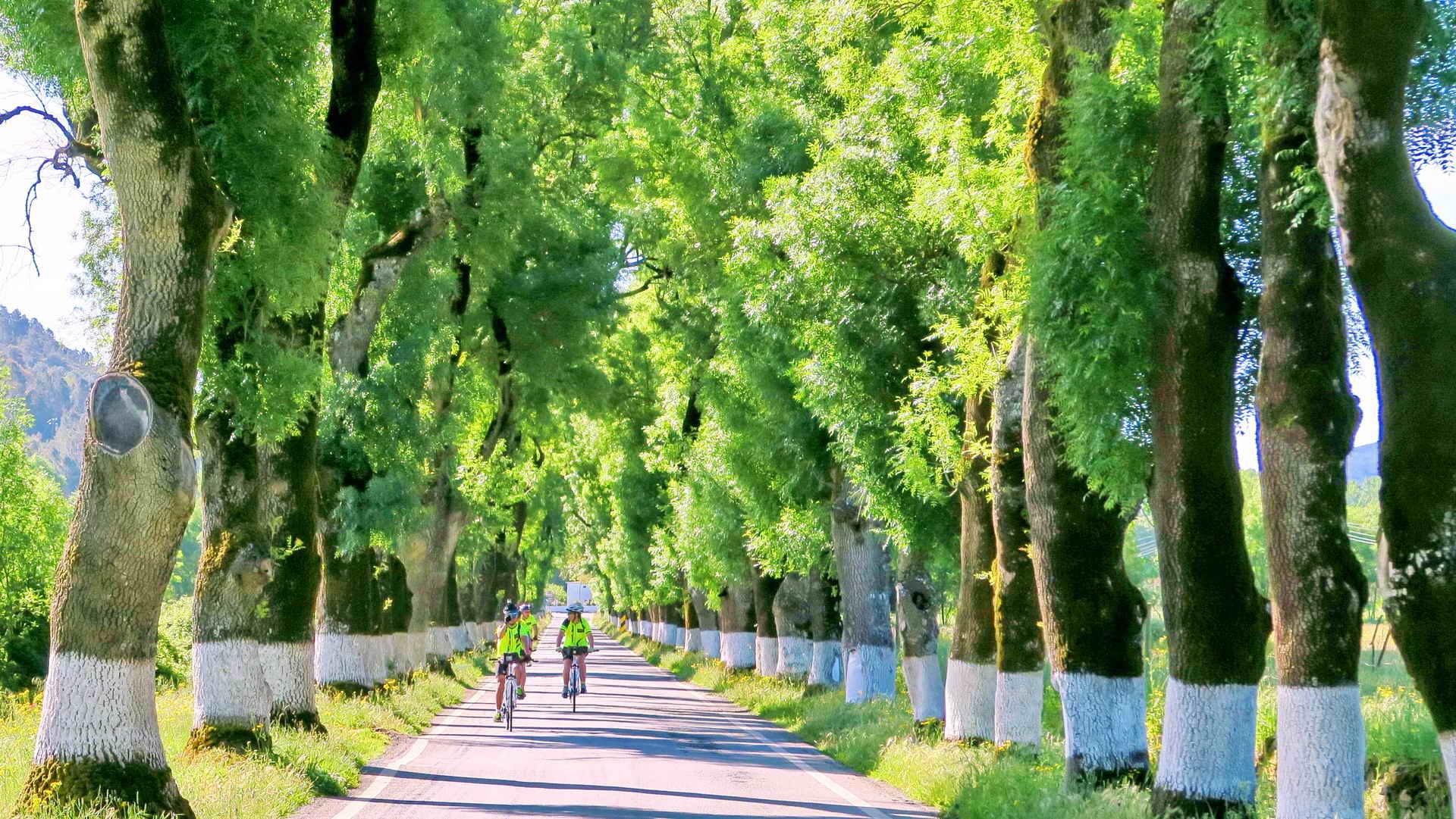 jewels of portugal bike tour