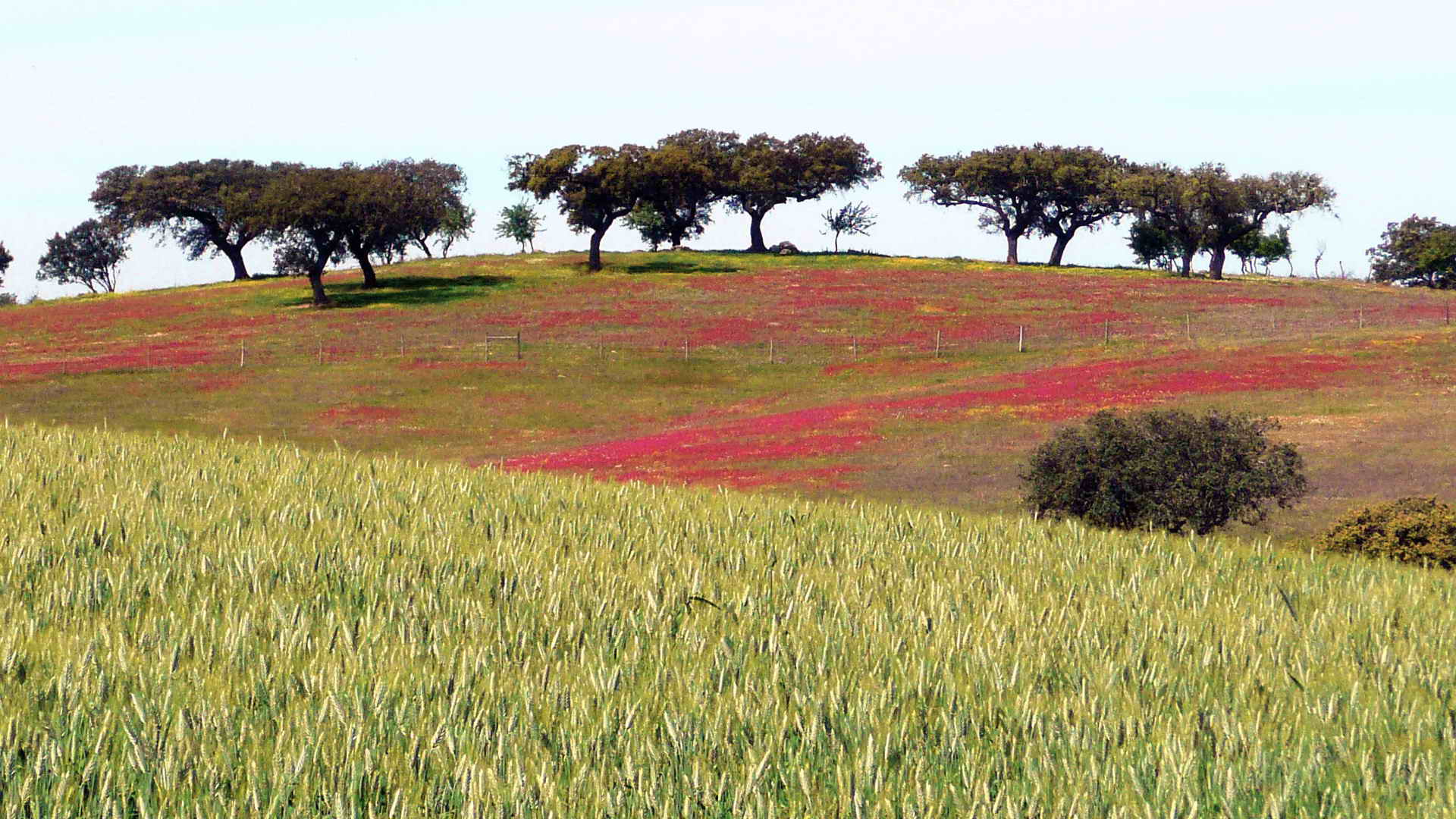 bike tours Portugal cycling tours