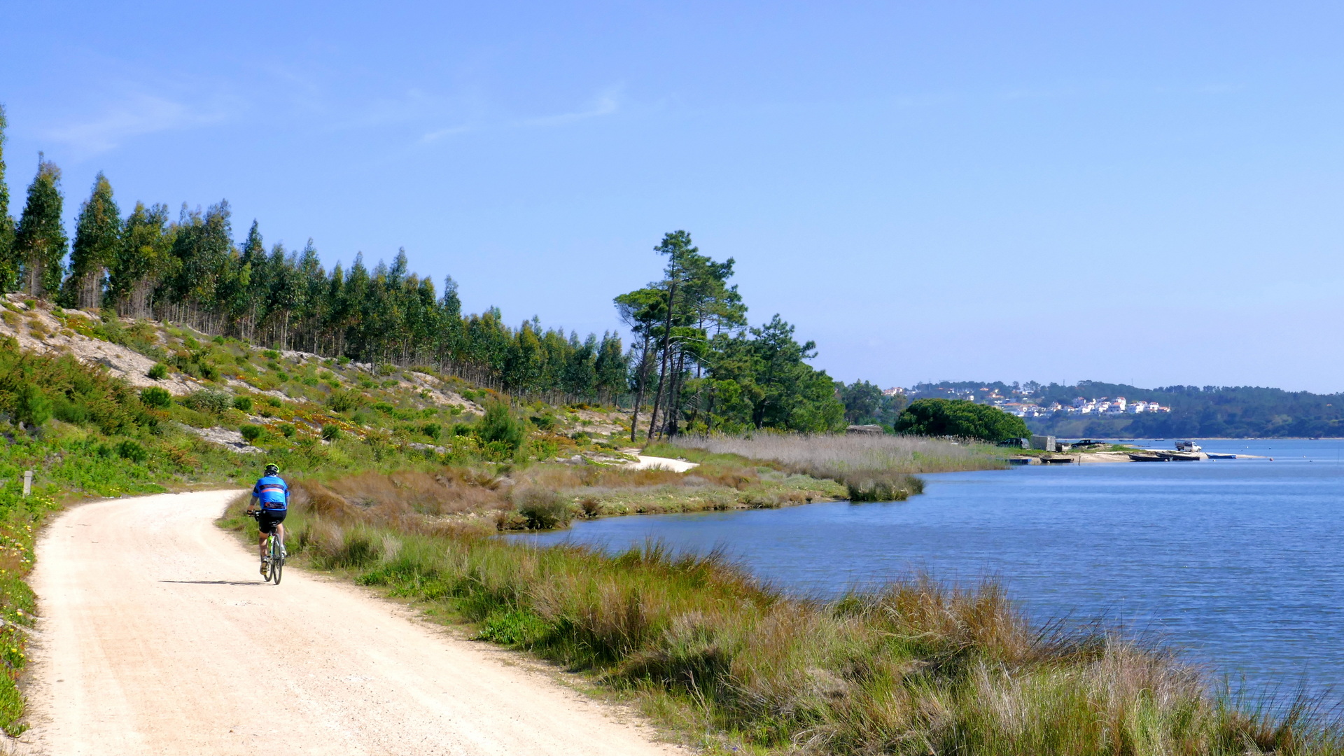 Porto Towards Lisbon bicycle tour 16