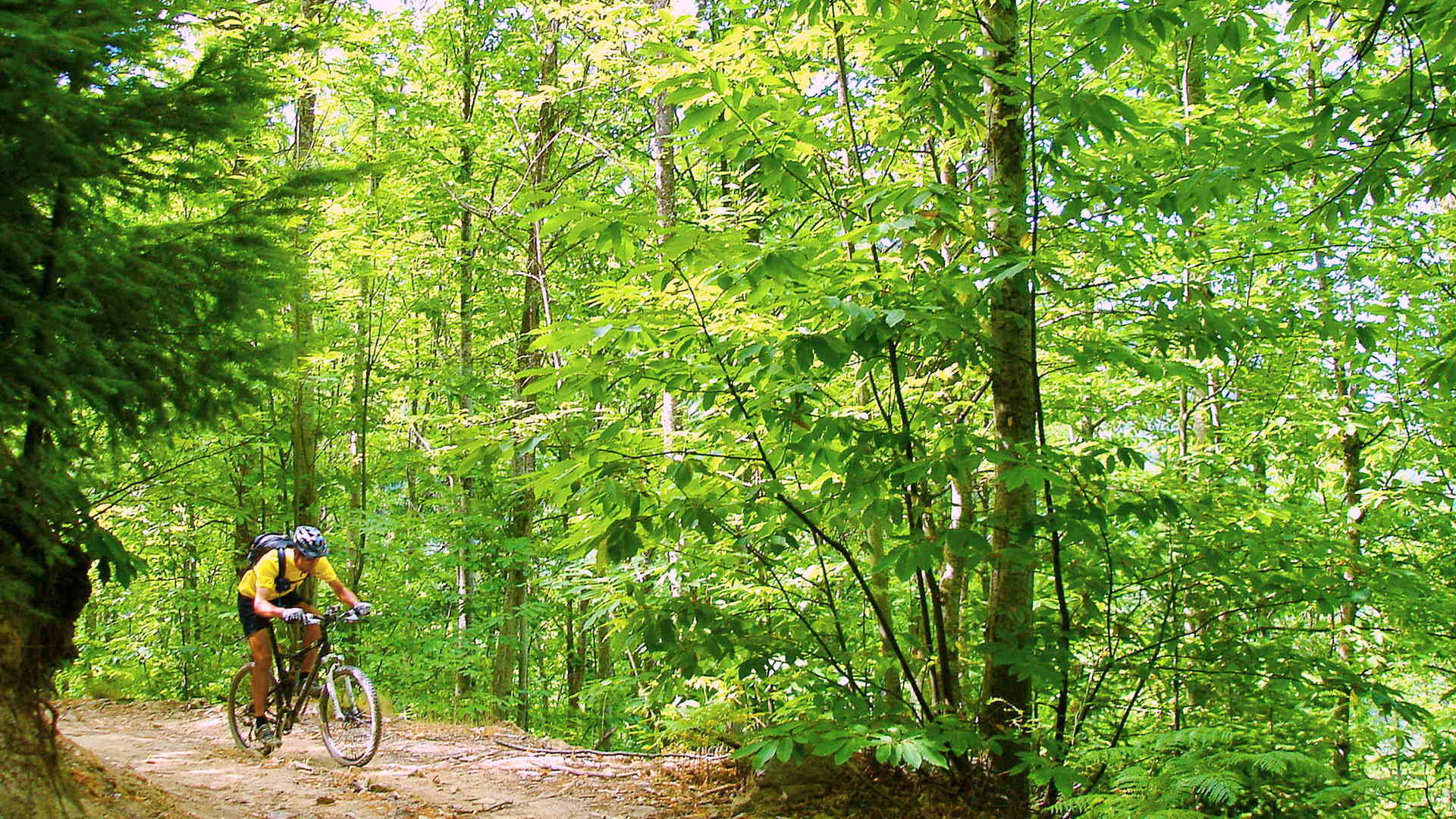 Bike tours in Portugal History, Portugal Bike Tours, Cycling in Portugal