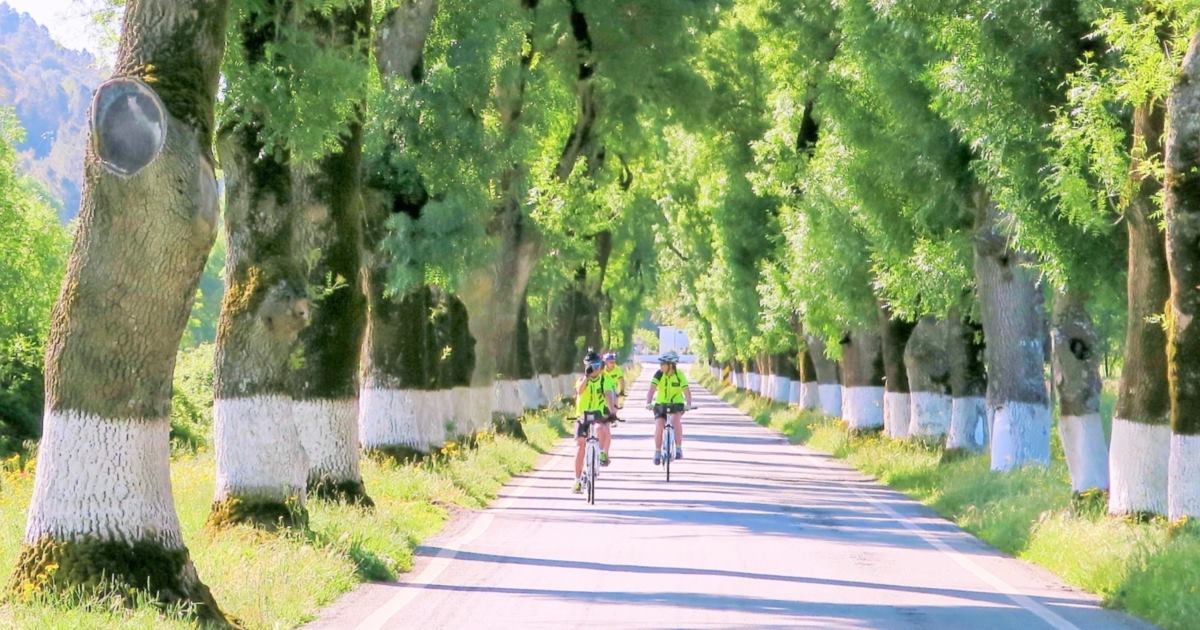 Portugal Bike Tours