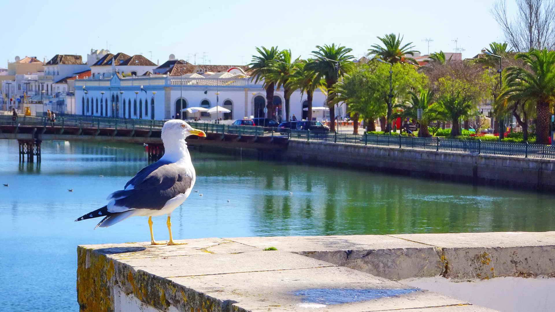 Portugal Bike Tours in Financial Times Town of Tavira, Biking in Portugal