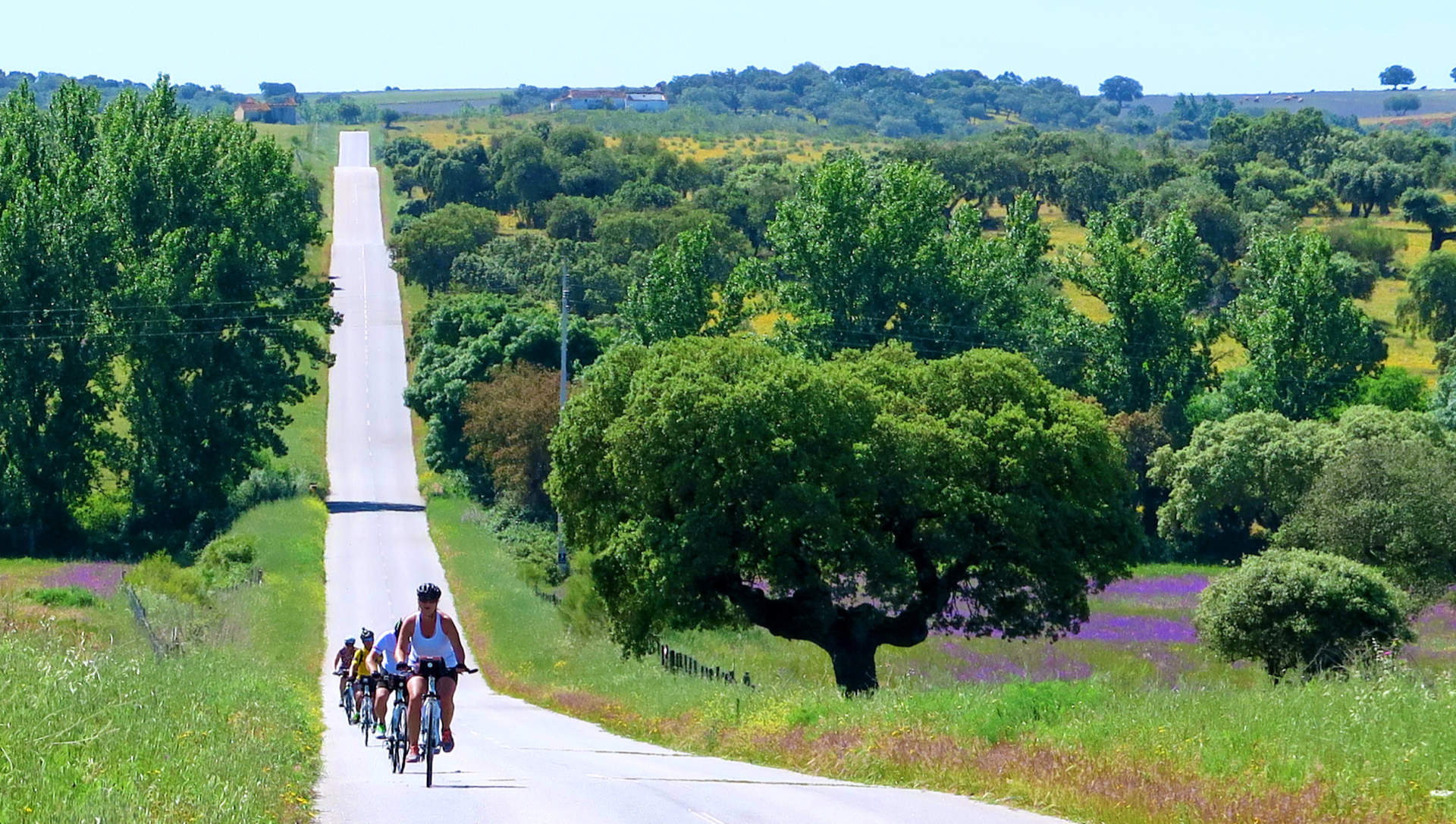 Cycling vacation in Europe - Portugal alentejo Bike Tour