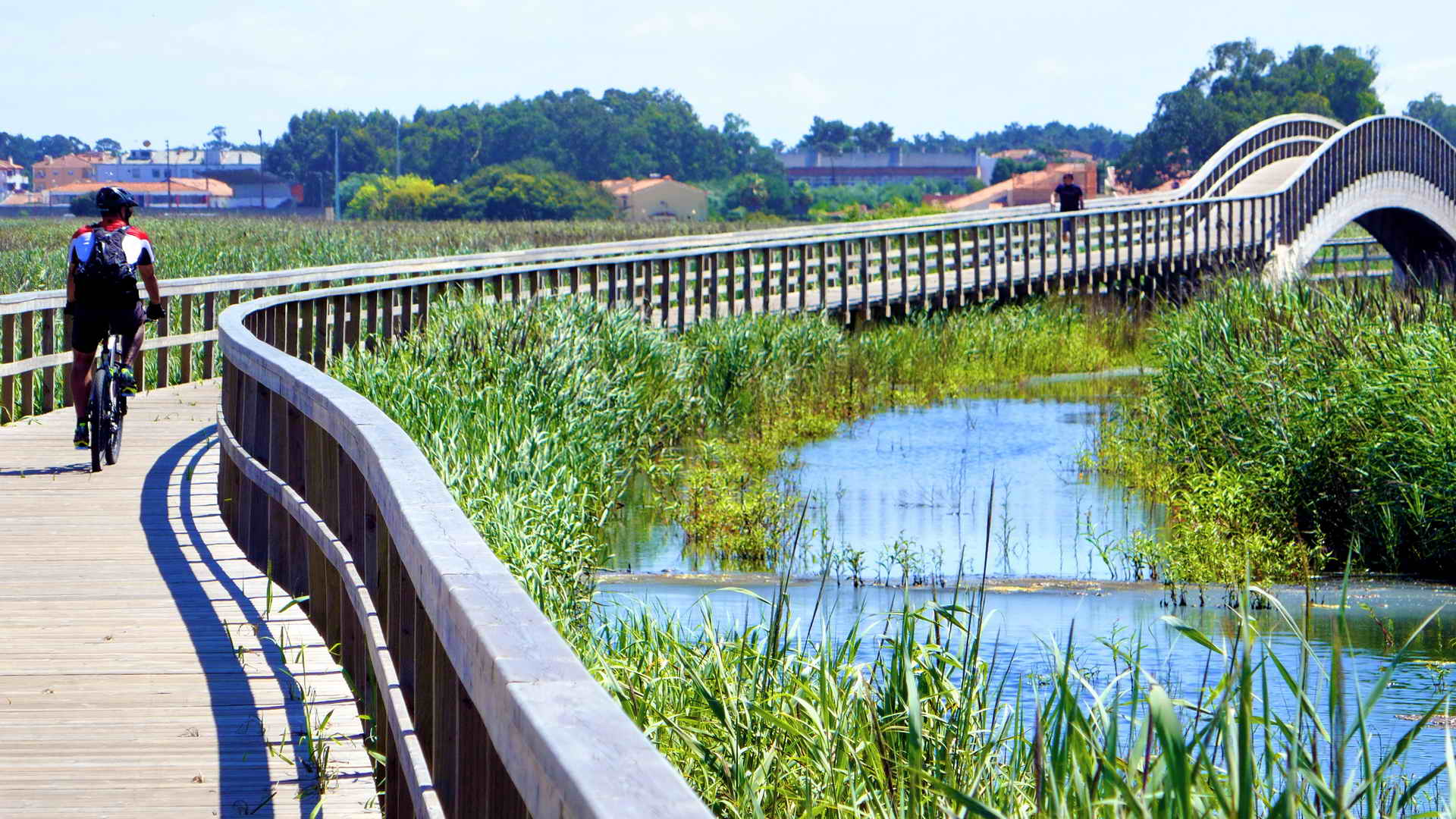 portugal bike tours along the silver coast 07