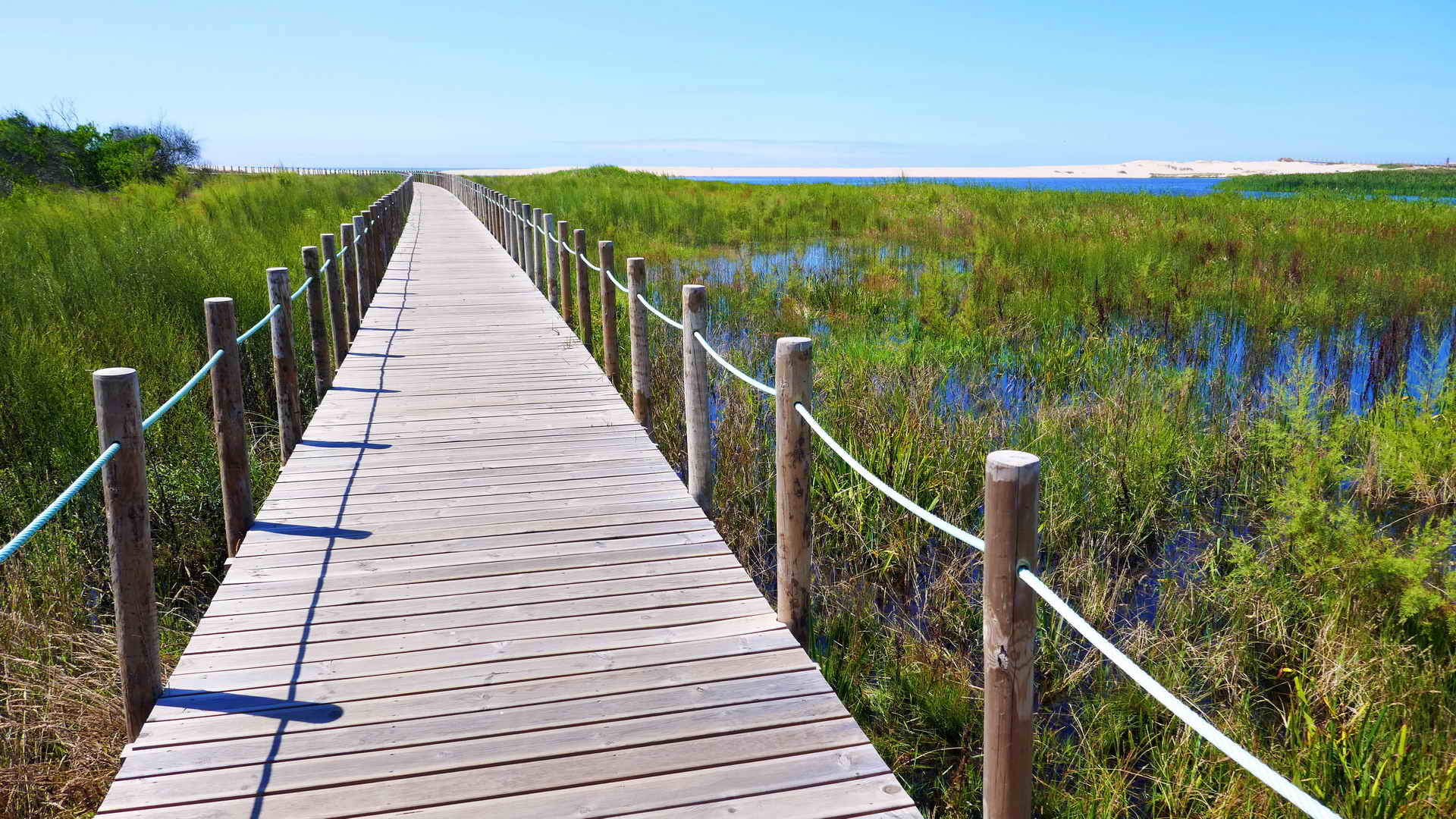 portugal bike tours along the silver coast 08