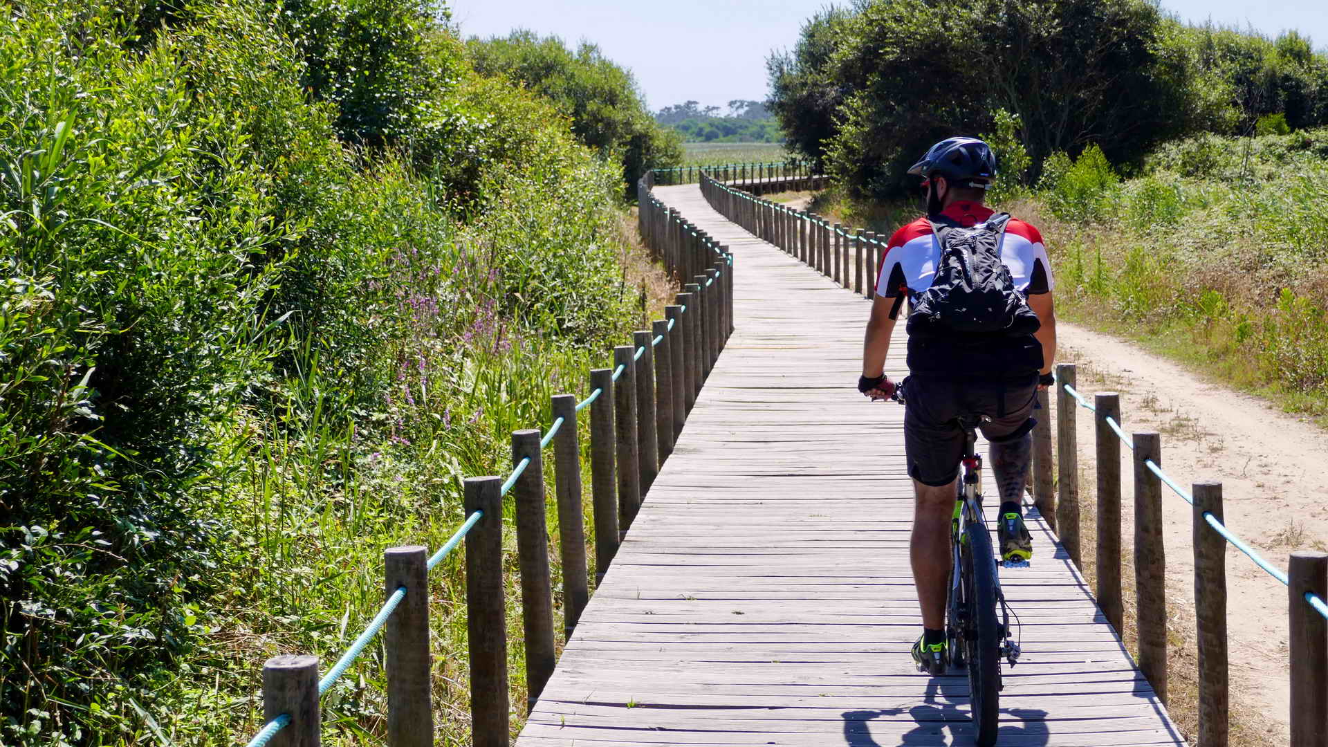 portugal bike tours along the silver coast 18
