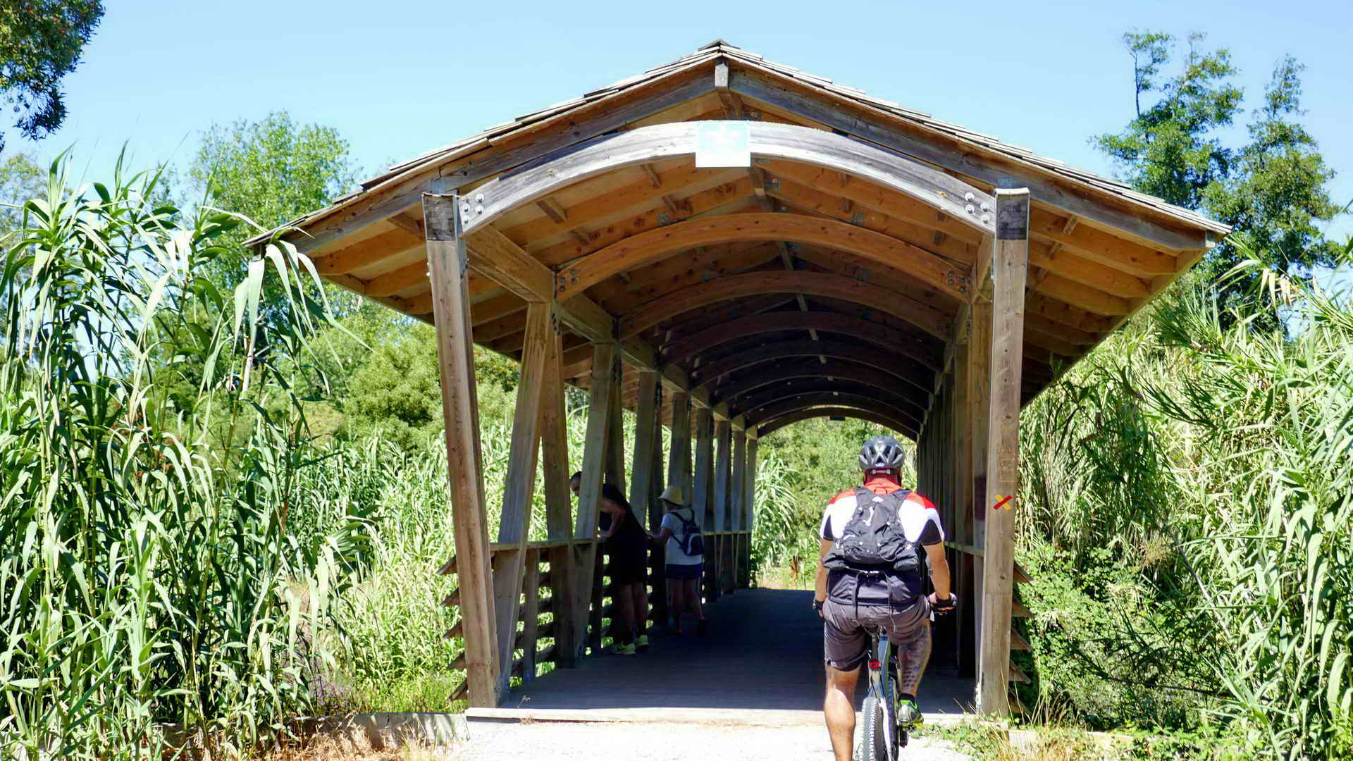 portugal bike tours along the silver coast 20