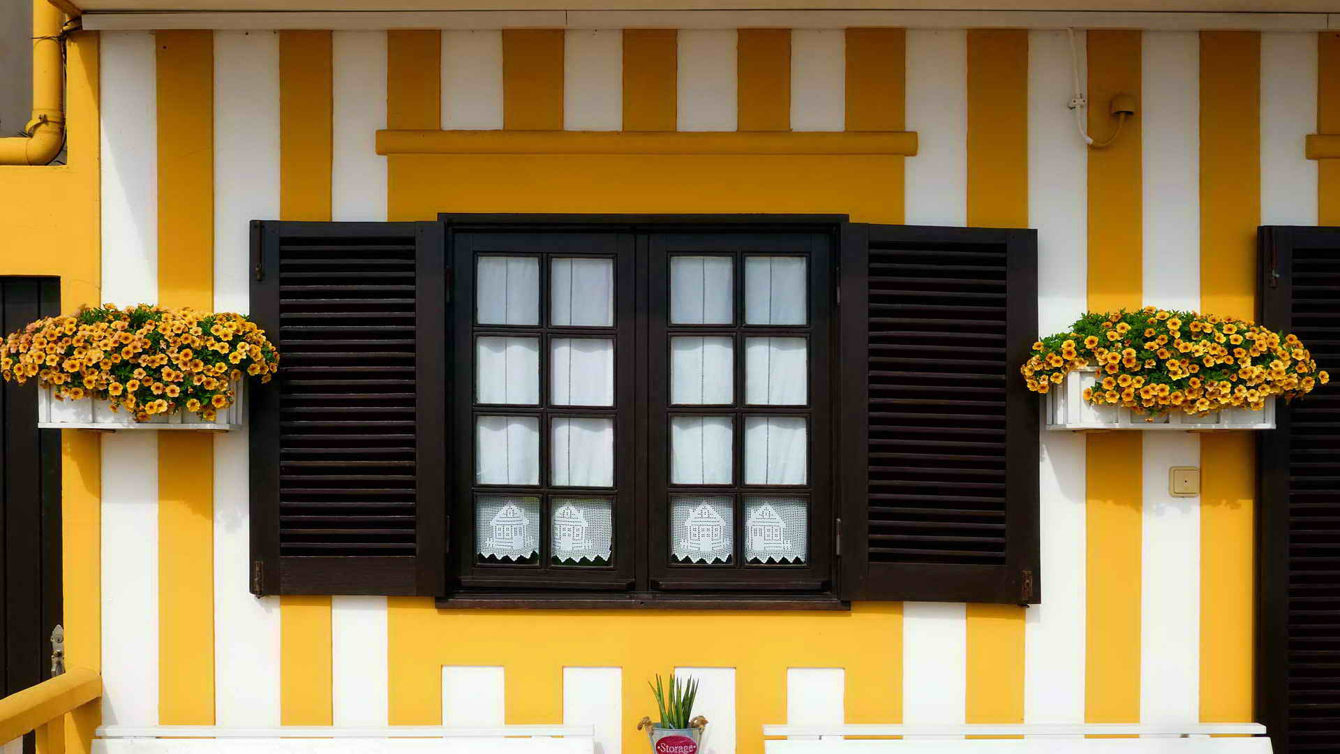 portugal bike tours along the silver coast 22