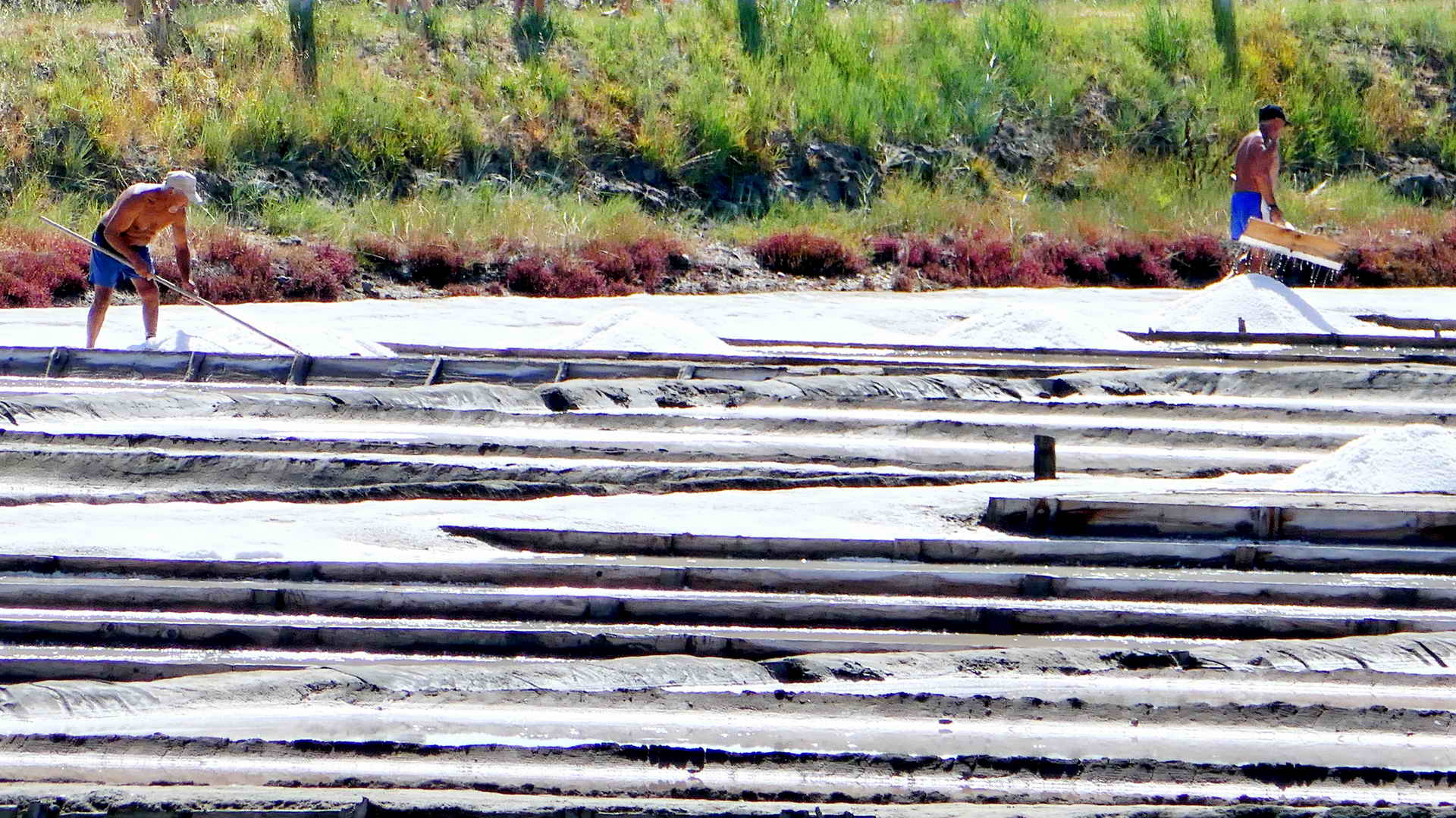 portugal bike tours along the silver coast 25