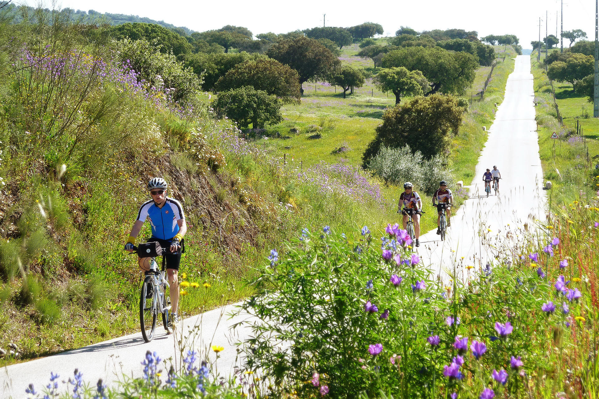 Riding Portugal Alentejo Region